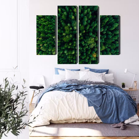 Canvastavla - Aerial view of the green forest