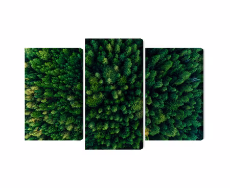 Canvastavla - Aerial view of the green forest