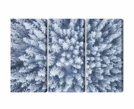 Canvastavla - Aerial view of the winter forest
