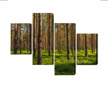 Canvastavla - 3d pine forest