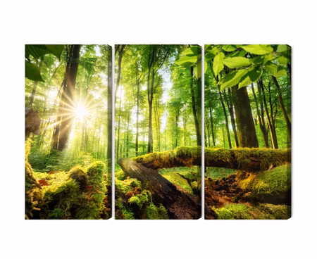 Canvastavla - Rays of the sun in the 3d forest