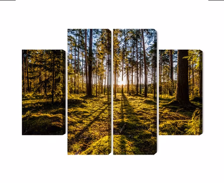 Canvastavla - Morning sun rays in the forest