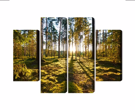 Canvastavla - Forest landscape with sunset