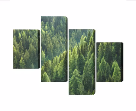 Canvastavla - The green of the forest