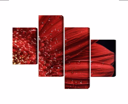 Canvastavla - Flower petals on a macro scale