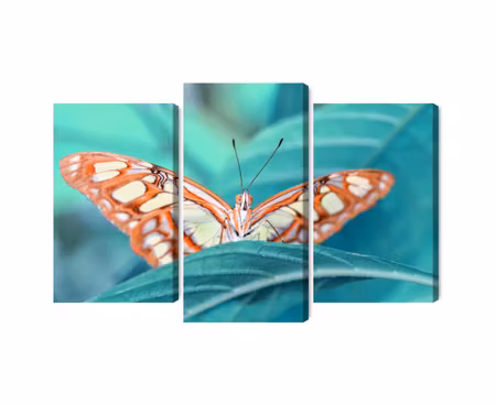 Canvastavla - A butterfly on a leaf on a macro scale