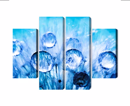 Canvastavla - Dew drops on dandelion seeds on a macro