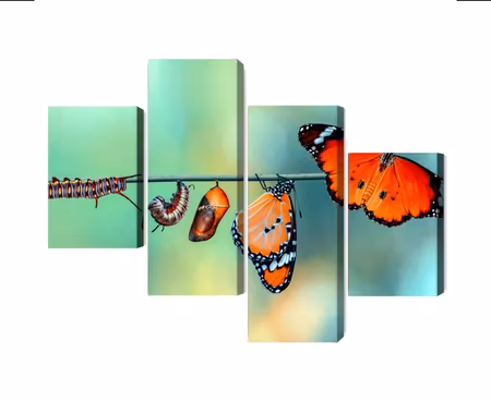 Canvastavla - Colorful caterpillars and butterflies on