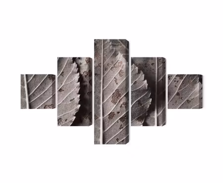 Canvastavla - Gray leaves on a macro scale