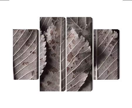 Canvastavla - Gray leaves on a macro scale