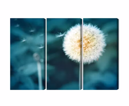 Canvastavla - Dandelion flower close up 3d