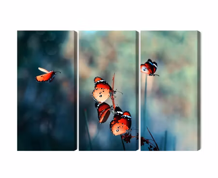 Canvastavla - Colorful butterflies on a macro scale