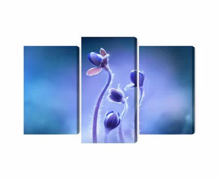 Canvastavla - Delicate flowers on a macro scale