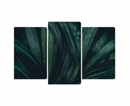 Canvastavla - Dark green leaves on a macro scale