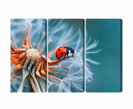 Canvastavla - Ladybug on a dandelion in macro scale