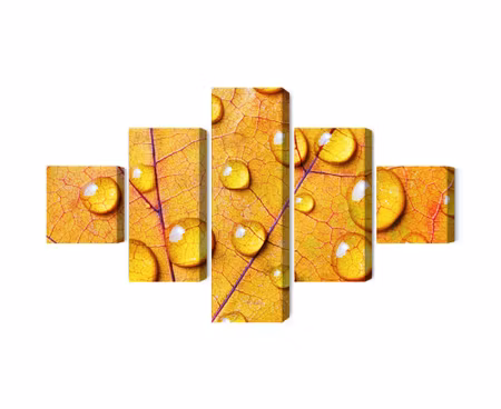 Canvastavla - Water drops on an autumn leaf macro