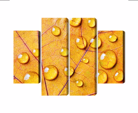 Canvastavla - Water drops on an autumn leaf macro