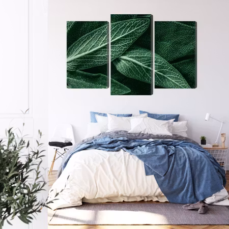 Canvastavla - Salvia leaves on a macro scale