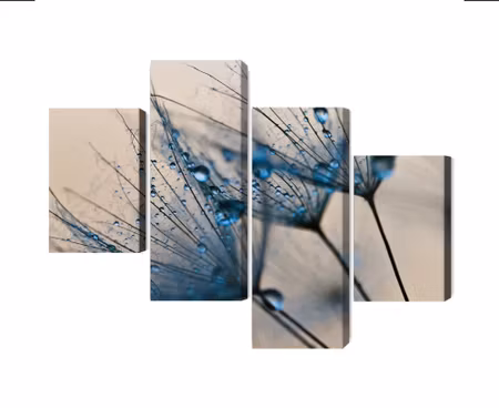 Canvastavla - Dandelions with water droplets on a