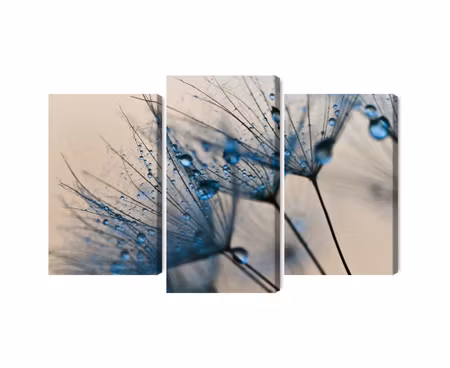 Canvastavla - Dandelions with water droplets on a