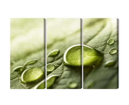 Canvastavla - Water drops on a leaf on a macro scale