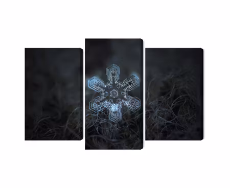 Canvastavla - Snow flake in 3d macro scale