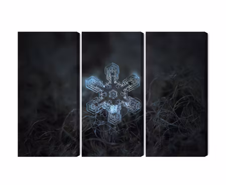 Canvastavla - Snow flake in 3d macro scale