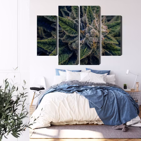 Canvastavla - Cannabis plant close up