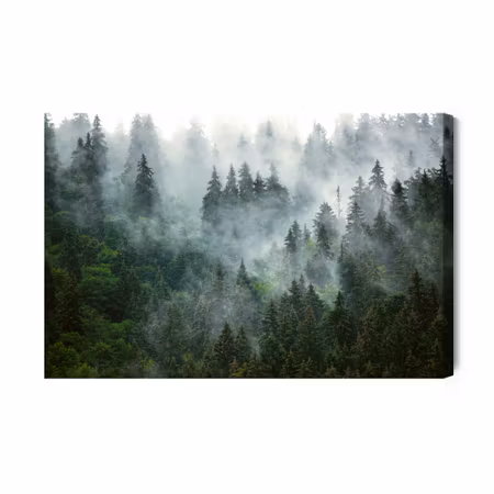 Canvastavla - Foggy dark forest
