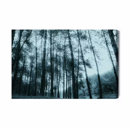 Canvastavla - Birch tree forest