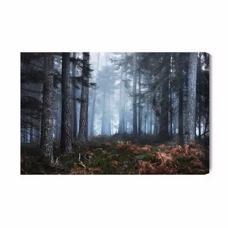Canvastavla - Forest in the fog