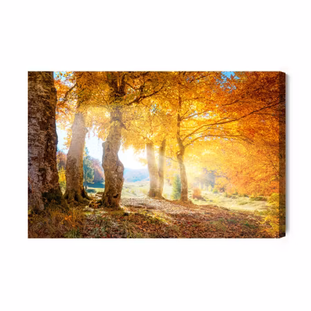 Canvastavla - Warm autumn landscape