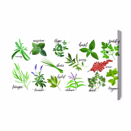 Canvastavla - Described herbs and spices