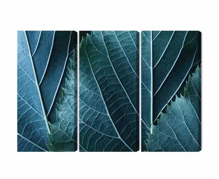 Canvastavla - Leaves in a macro scale with a 3d effect