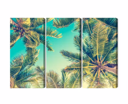 Canvastavla - Bottom view of the palm trees