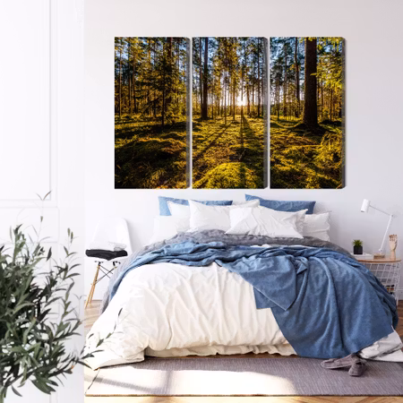 Canvastavla - Morning sun rays in the forest