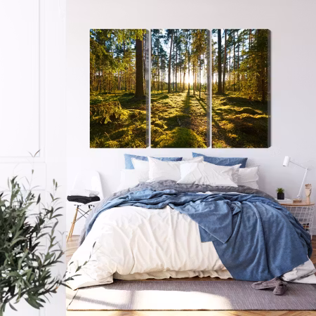 Canvastavla - Forest landscape with sunset