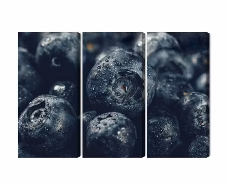 Canvastavla - Blueberries close up 3d