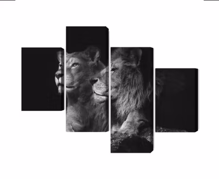 Canvastavla - Lion and lioness on a black background