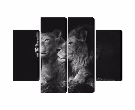 Canvastavla - Lion and lioness on a black background