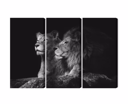 Canvastavla - Lion and lioness on a black background