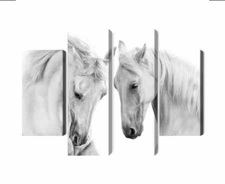 Canvastavla - Two horses on a white background