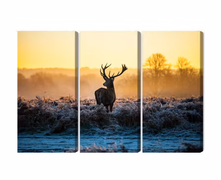 Canvastavla - Deer in the rut in 3d