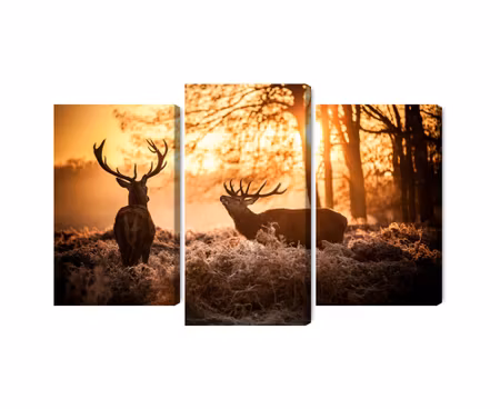 Canvastavla - Two deer in the forest at sunset 3d