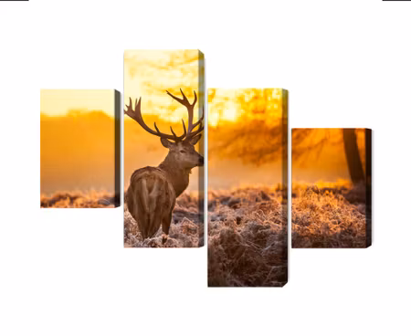 Canvastavla - Deer in the forest at sunset 3d