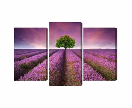 Canvastavla - A tree in the middle of a 3d lavender