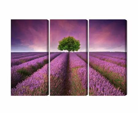 Canvastavla - A tree in the middle of a 3d lavender