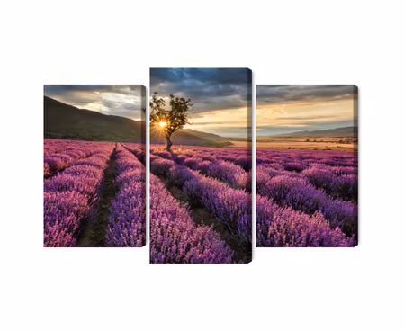 Canvastavla - Lavender field at sunset 3d