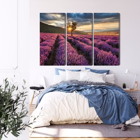 Canvastavla - Lavender field at sunset 3d