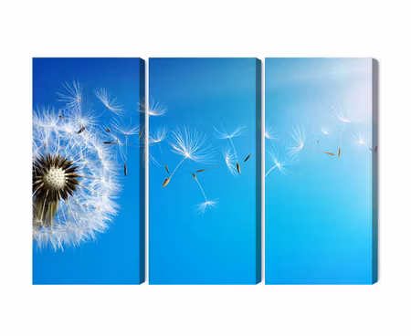 Canvastavla - Dandelion with flying seeds
